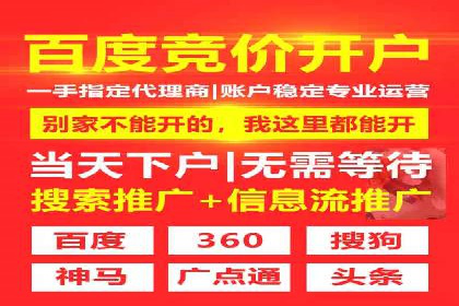 搜索引擎营销（SEM）的预算分配策略——以某行业案例详解